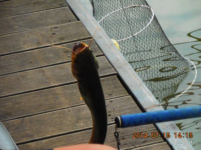 DSCN3789.JPG