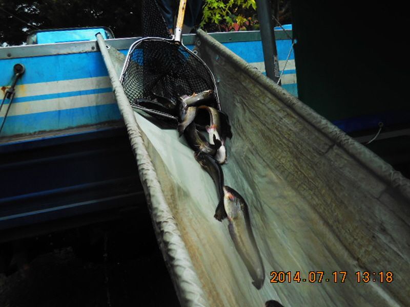 �ٹ̱�_DSCN3808.JPG