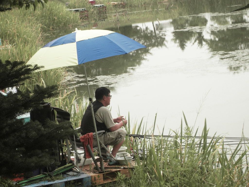 SDC10147.JPG