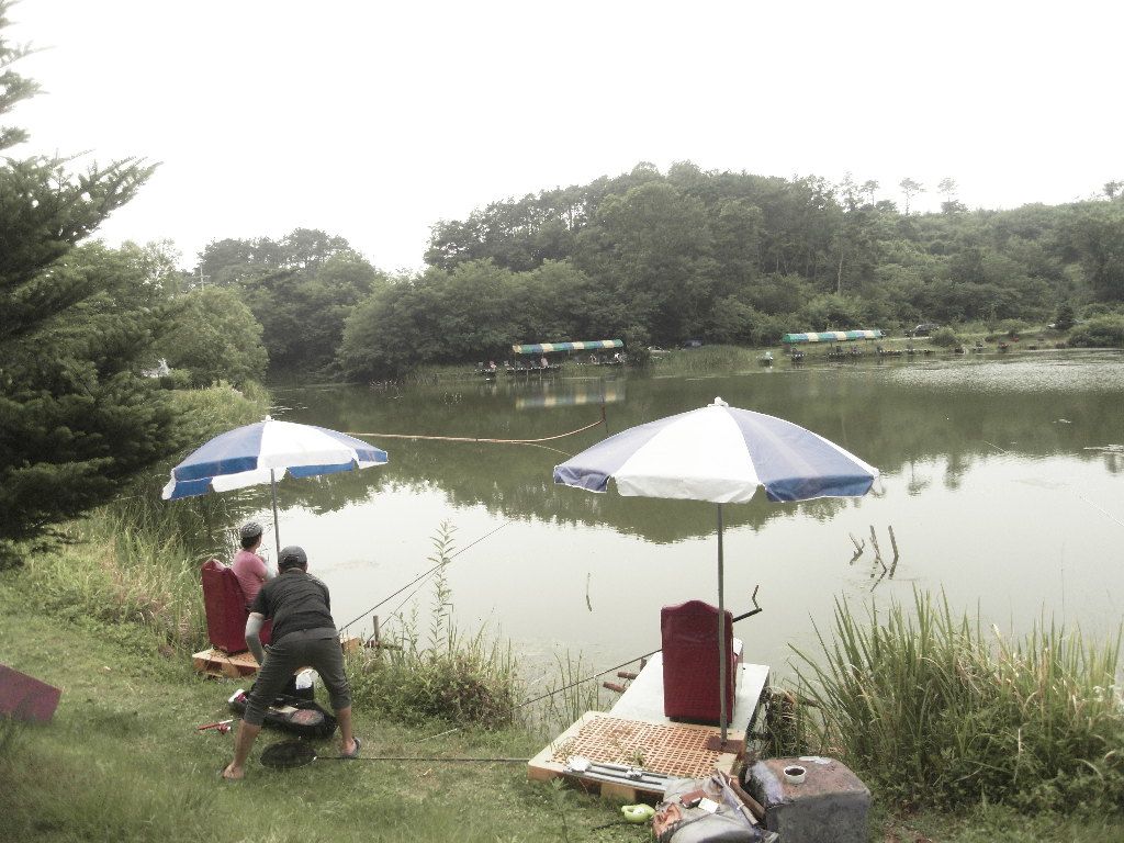 SDC10153.JPG