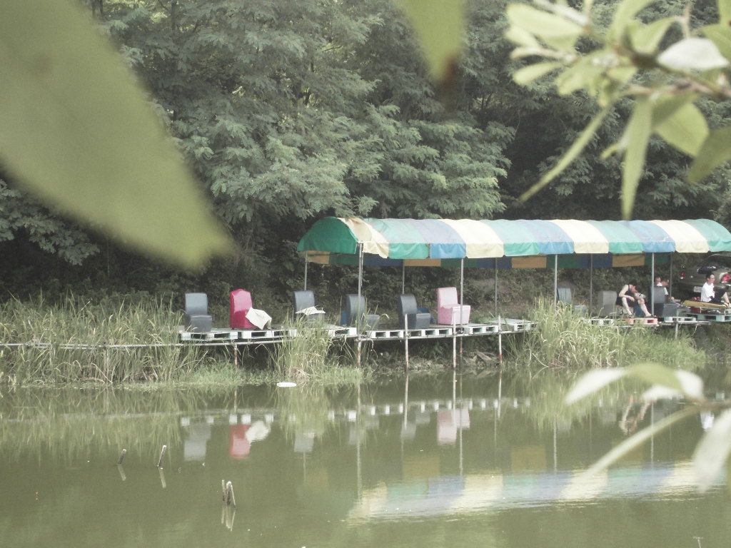 SDC10156.JPG