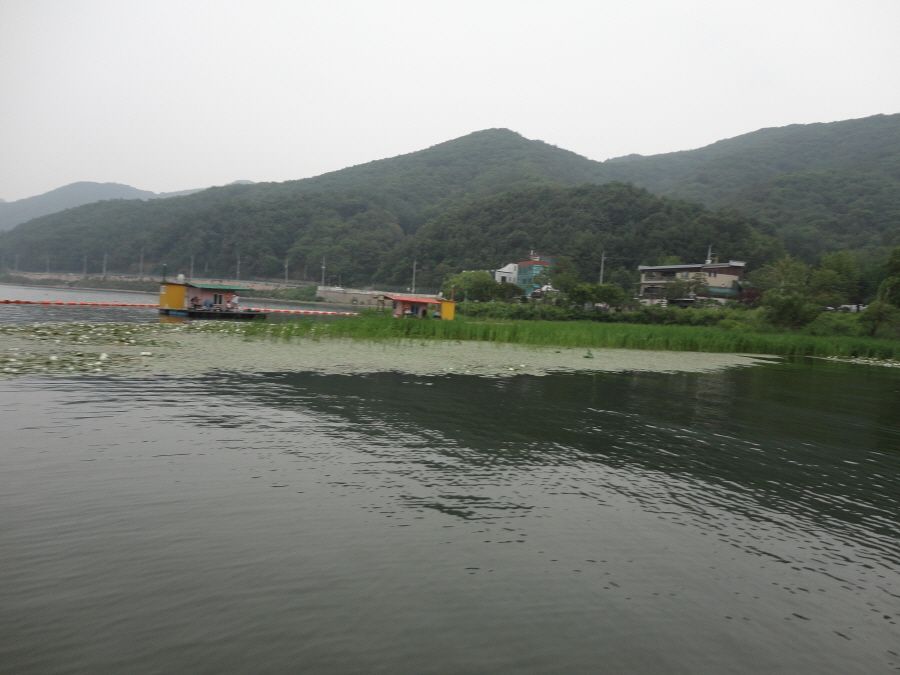 DSC08930.JPG