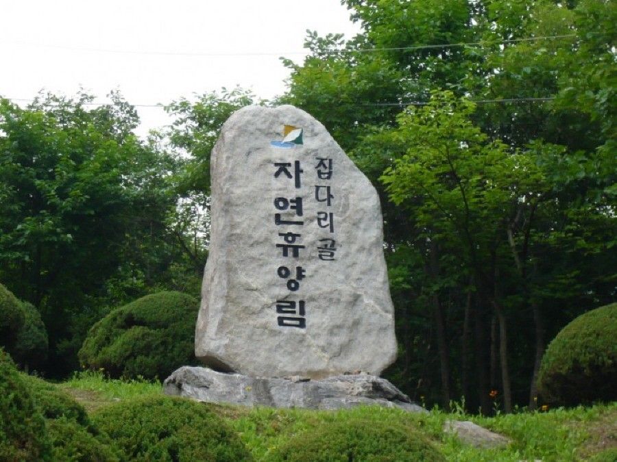 1405652251_9985.jpg