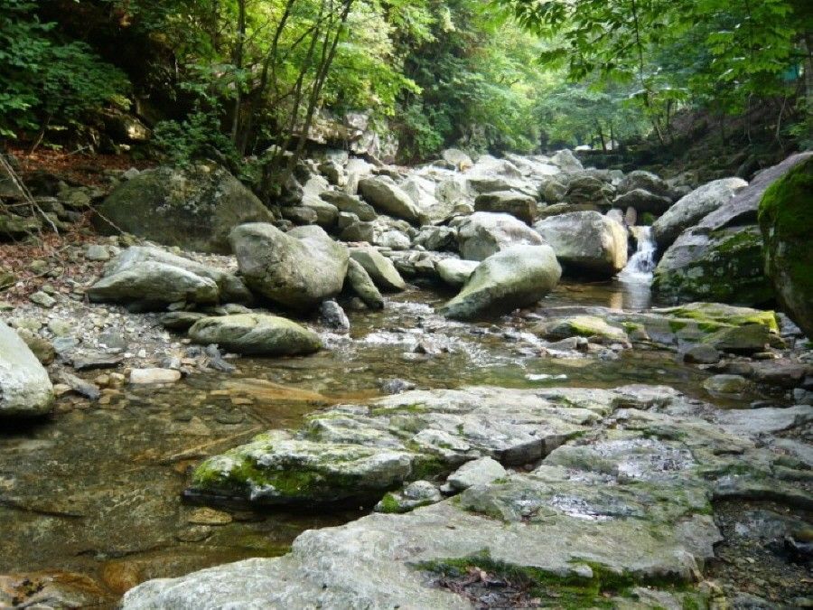 1405652260_4890.jpg