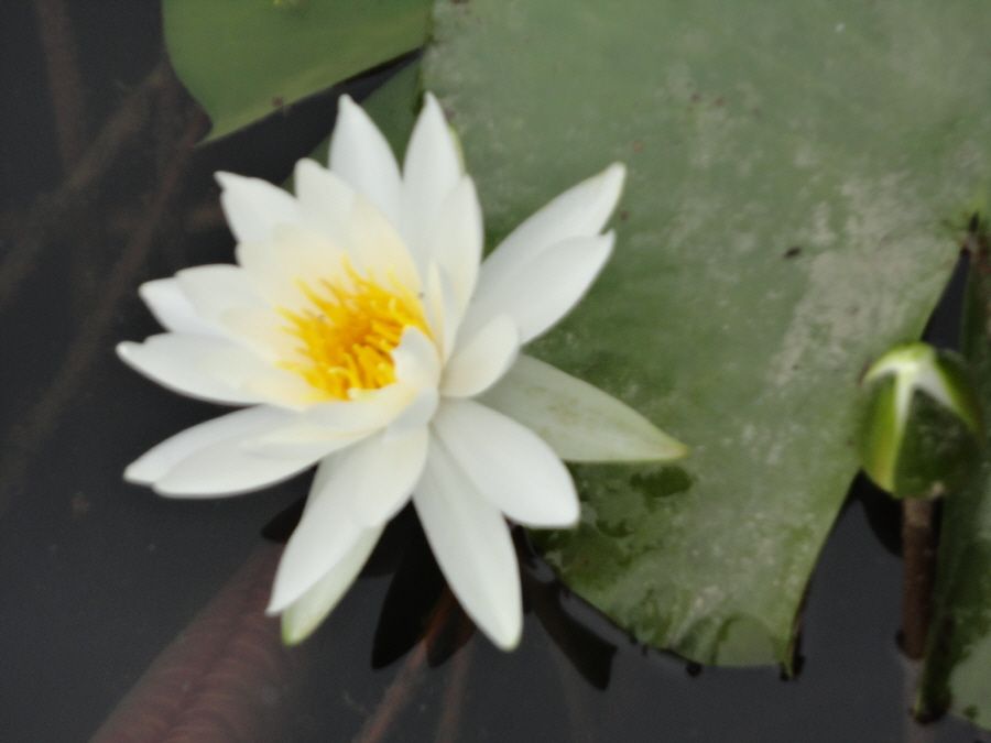 DSC08933.JPG