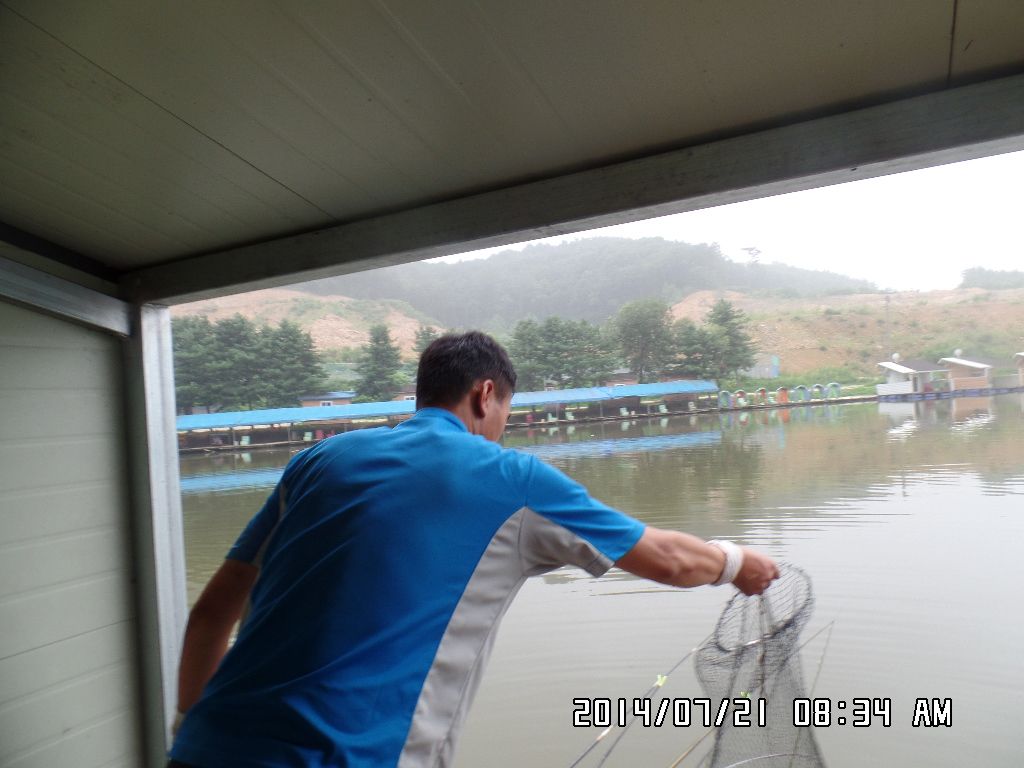 SAM_1089.JPG