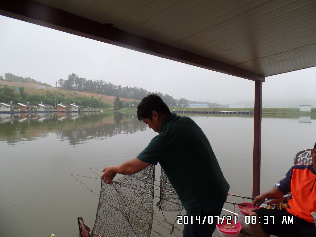 SAM_1095.JPG