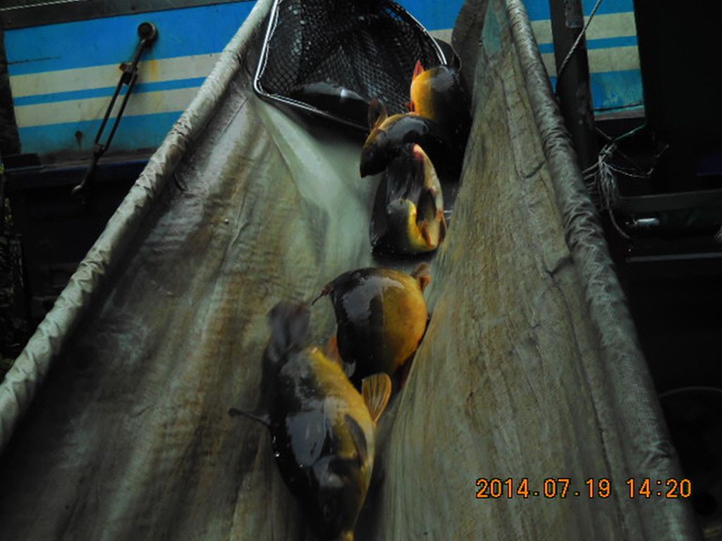 11DSCN3844.JPG