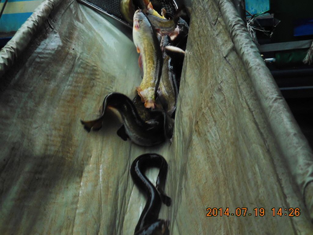 11DSCN3854.JPG