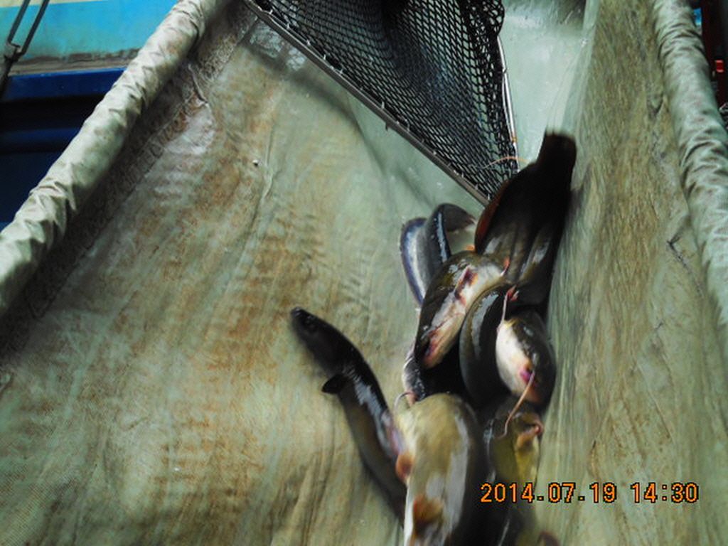 11DSCN3858.JPG