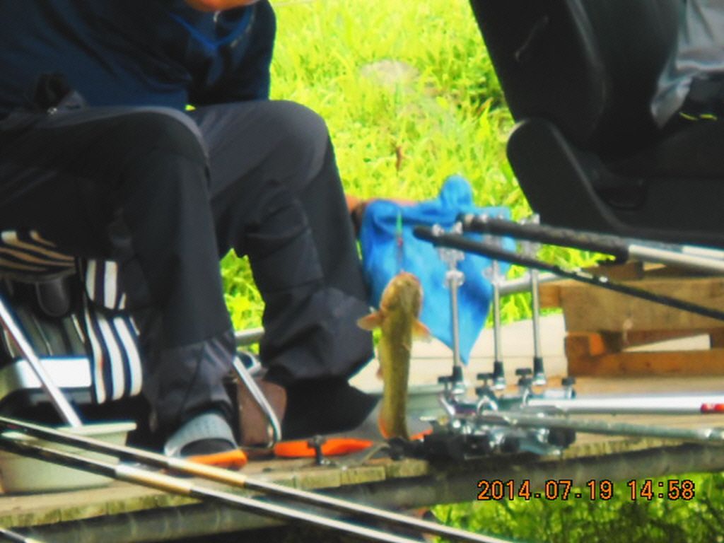 11DSCN3882.JPG