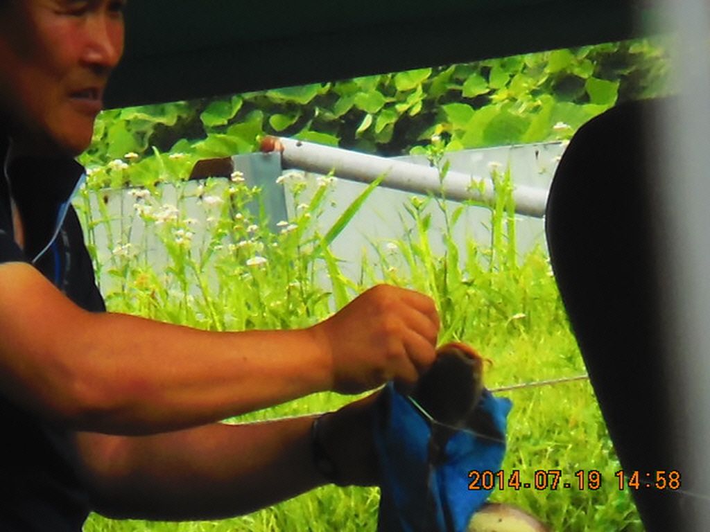 11DSCN3883.JPG