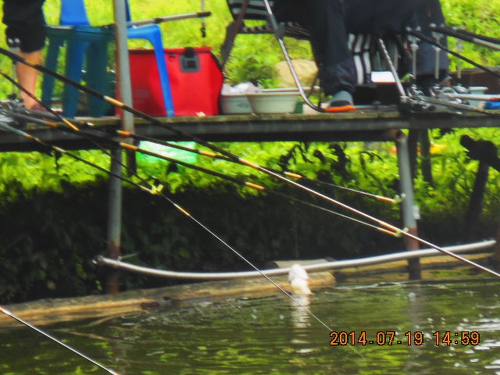 11DSCN3884.JPG