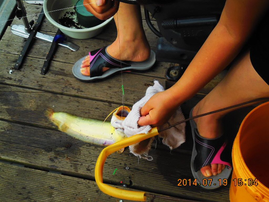 11DSCN3893.JPG