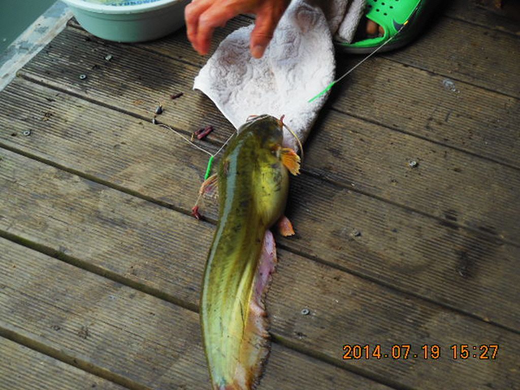 11DSCN3911.JPG