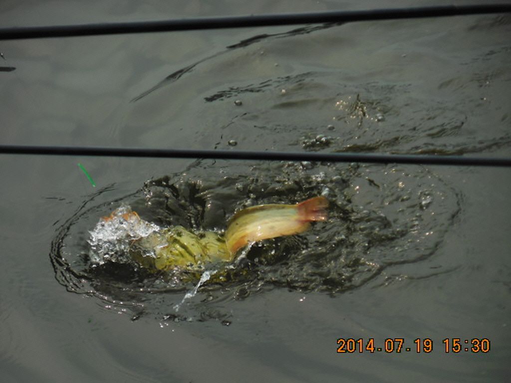 11DSCN3918.JPG