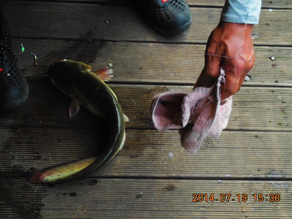 11DSCN3921.JPG