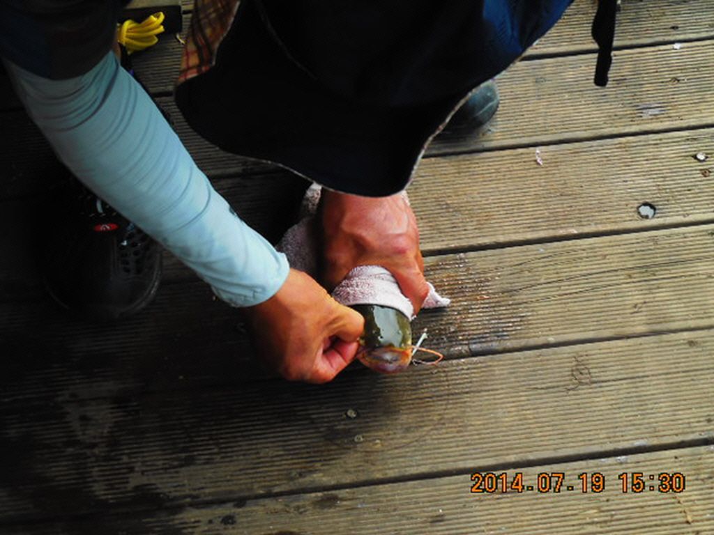 11DSCN3922.JPG