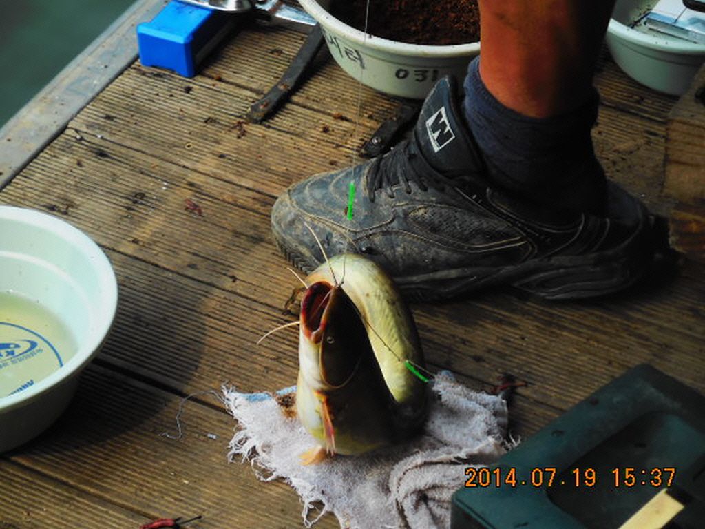 11DSCN3933.JPG