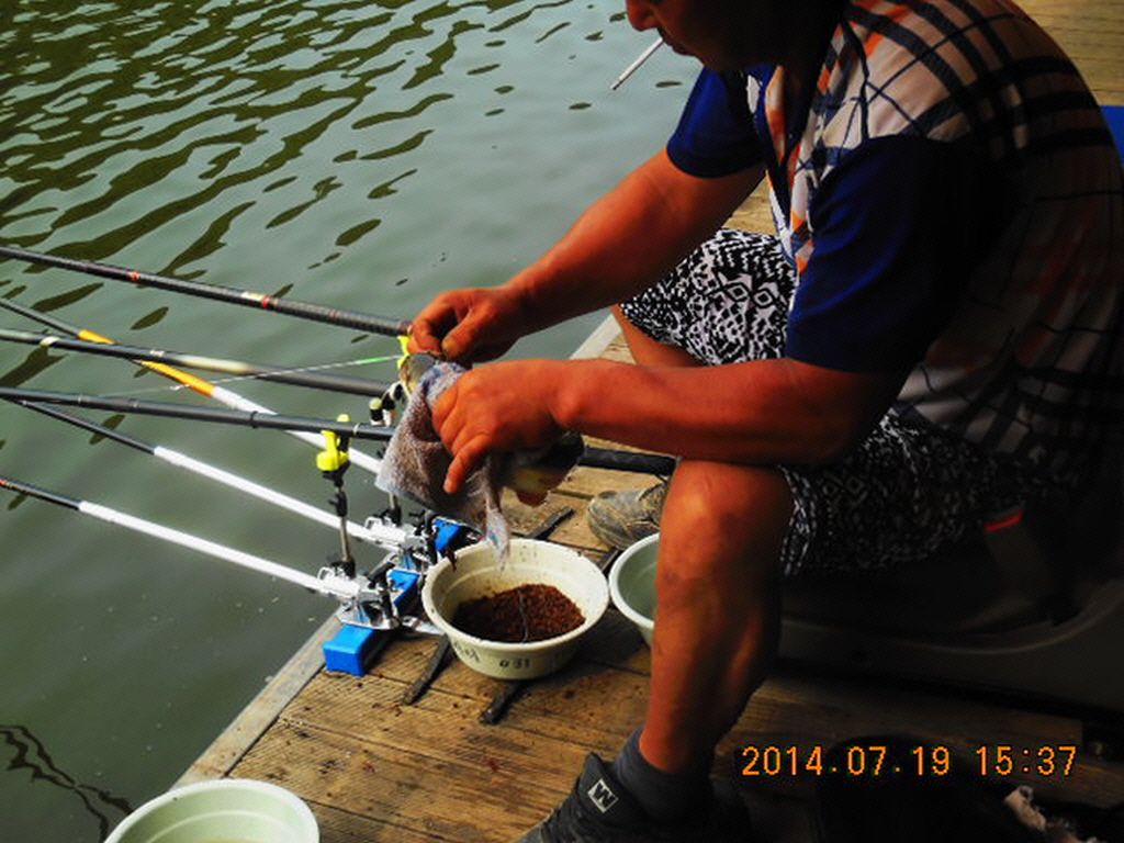 11DSCN3934.JPG