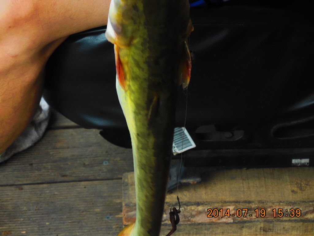 11DSCN3940.JPG