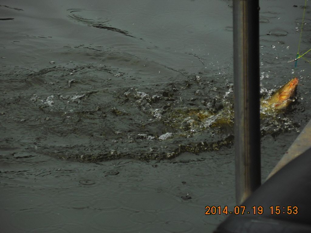 11DSCN3957.JPG