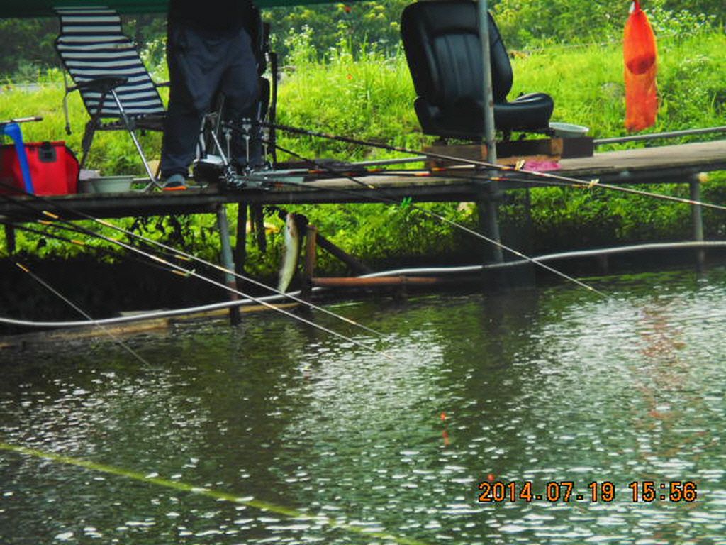 11DSCN3960.JPG
