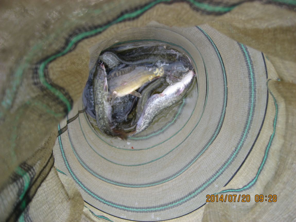 007.JPG
