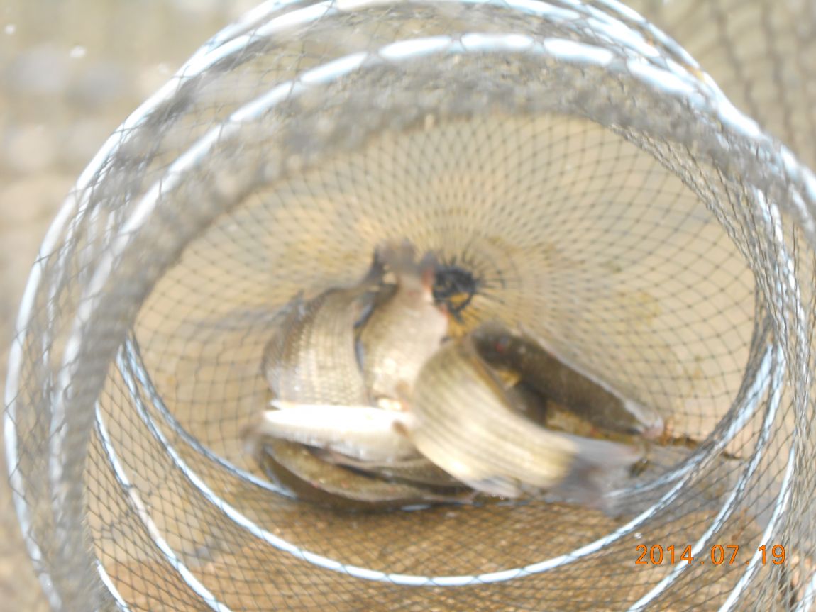 DSCN1938.JPG