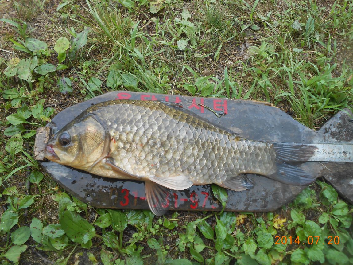 DSCN1959.JPG