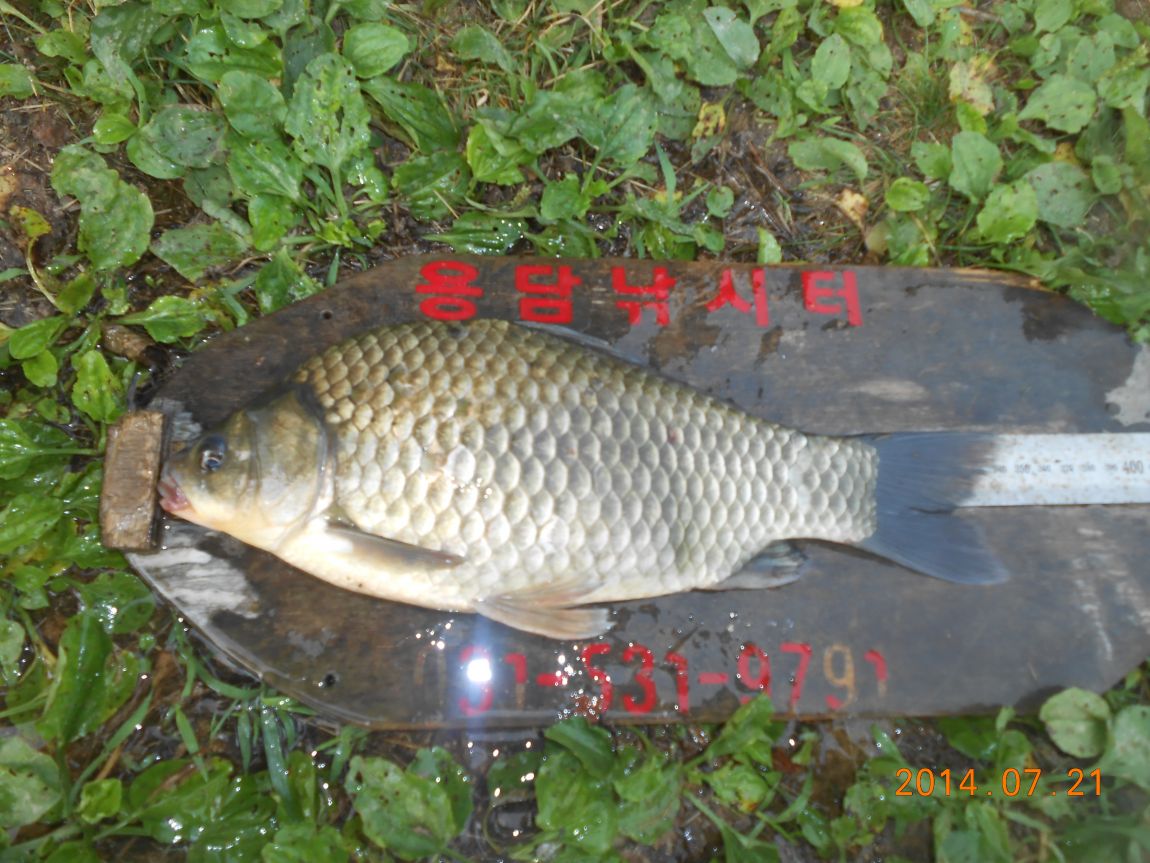 DSCN1972.JPG