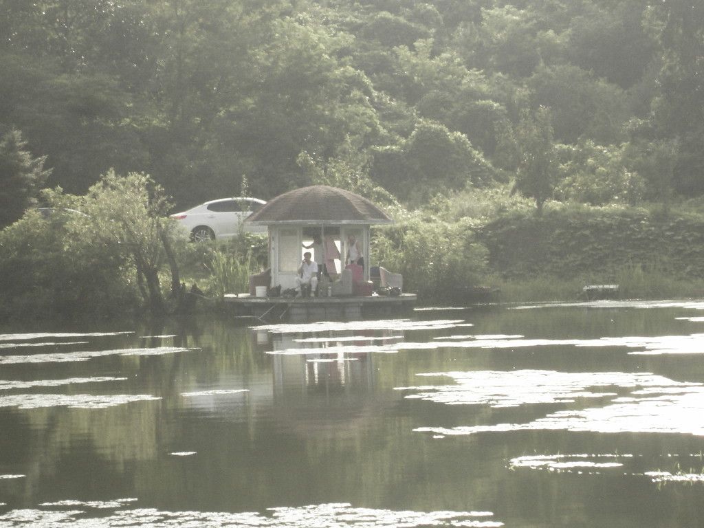 SDC10163.JPG