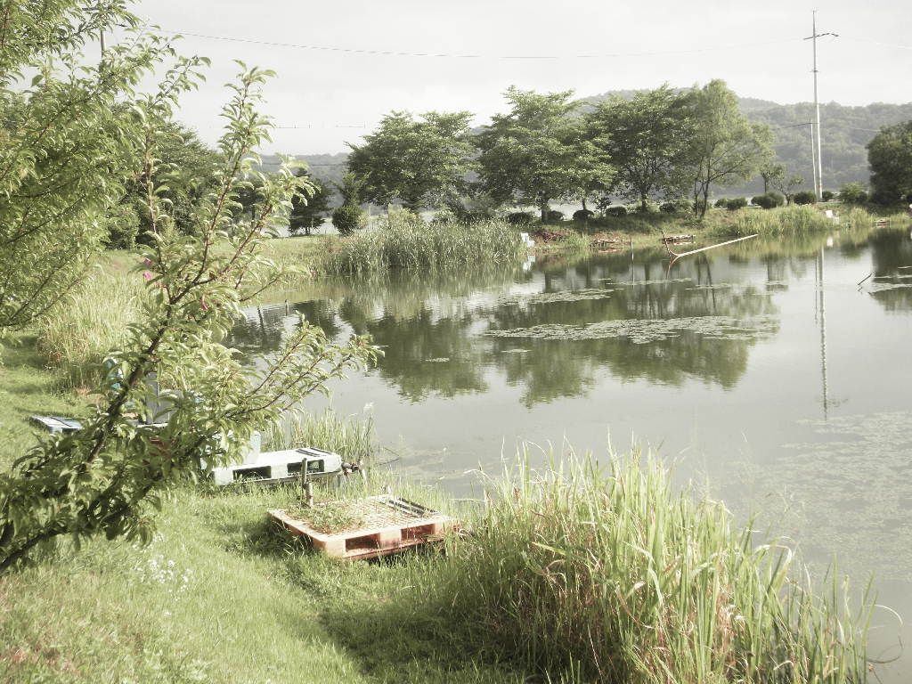 SDC10165.JPG
