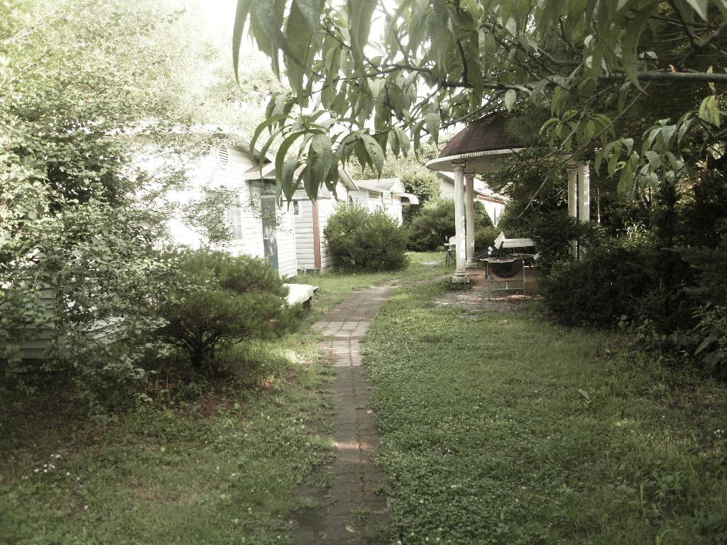 SDC10166.JPG