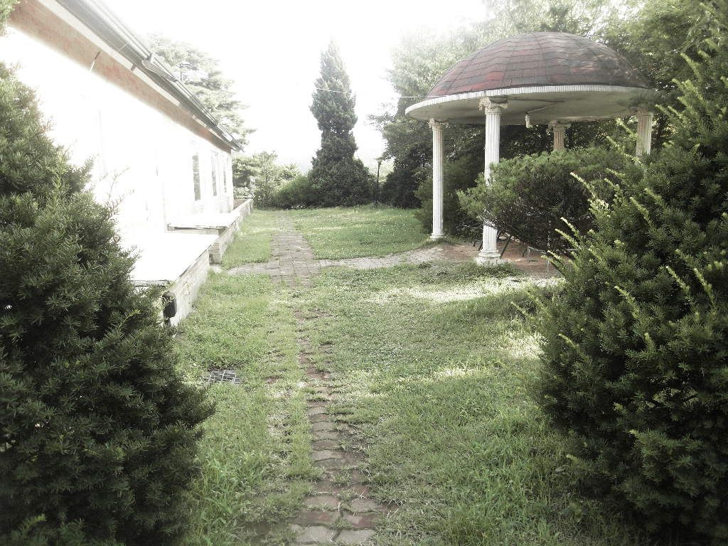 SDC10167.JPG