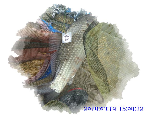 �ٹ̱�_DSC02369.JPG