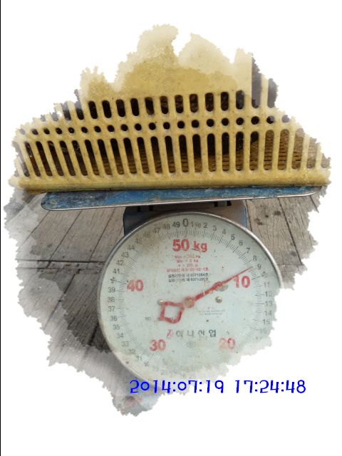 �ٹ̱�_DSC02372.JPG