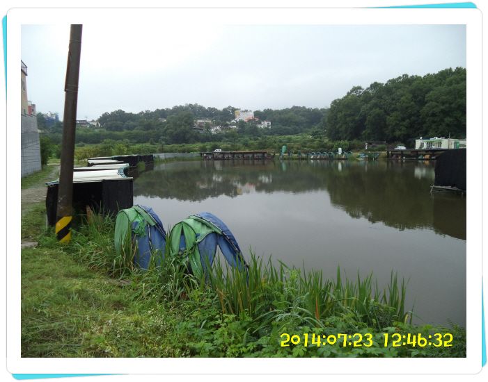 �ٹ̱�_DSC02389.JPG