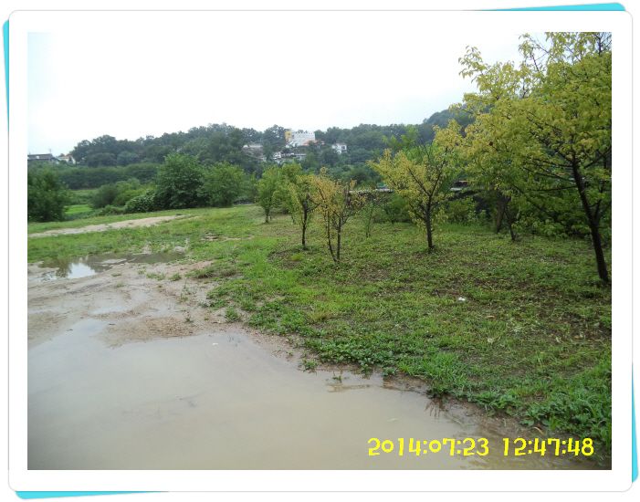 �ٹ̱�_DSC02391.JPG