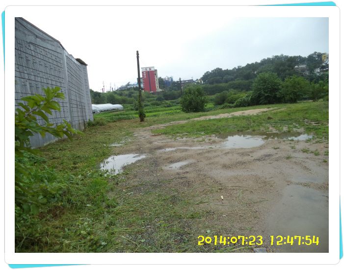 �ٹ̱�_DSC02392.JPG