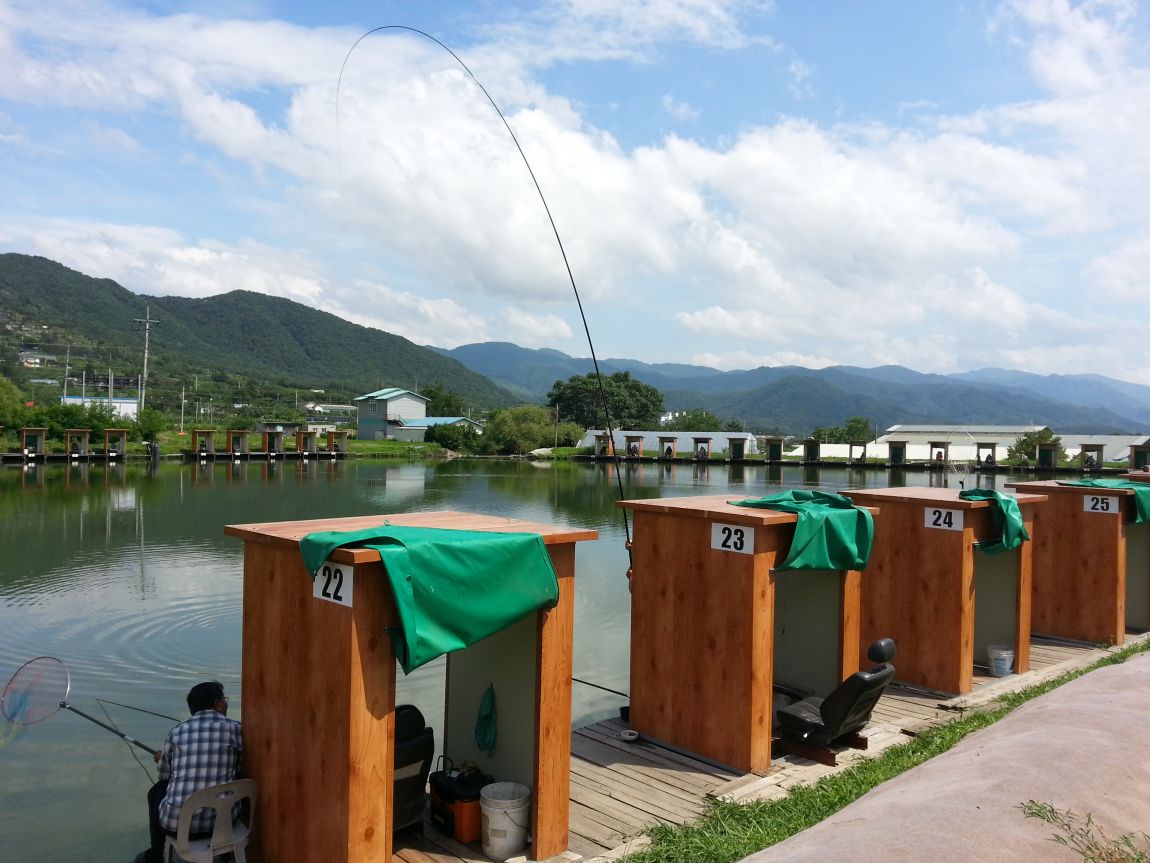 20140725_143647.jpg
