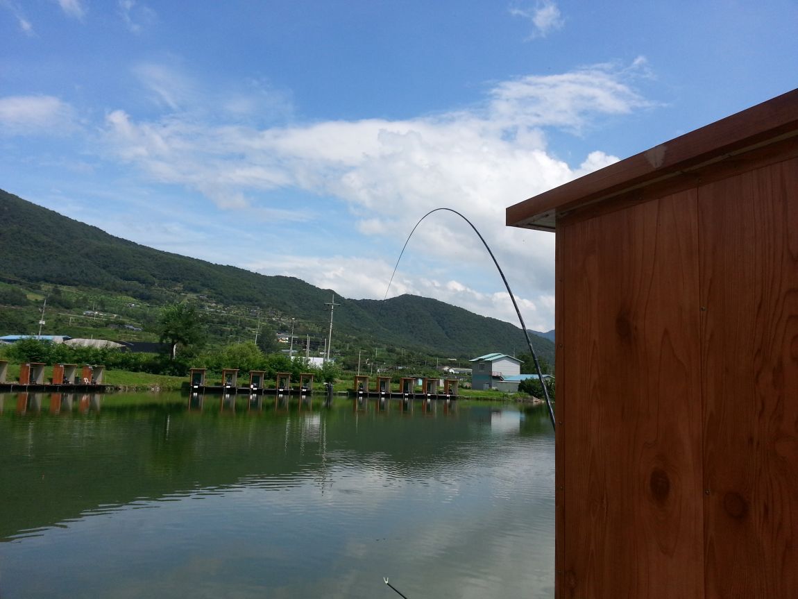 20140725_143801.jpg