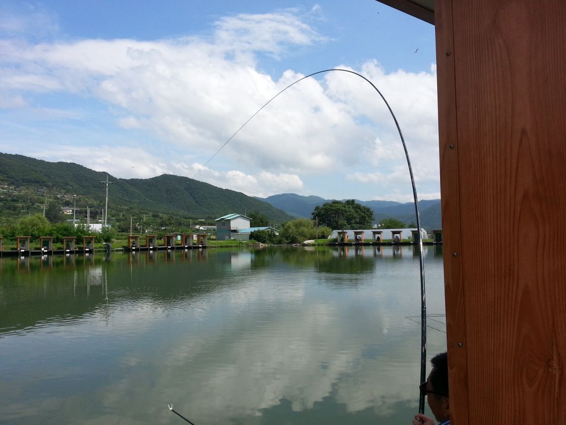 20140725_143806.jpg