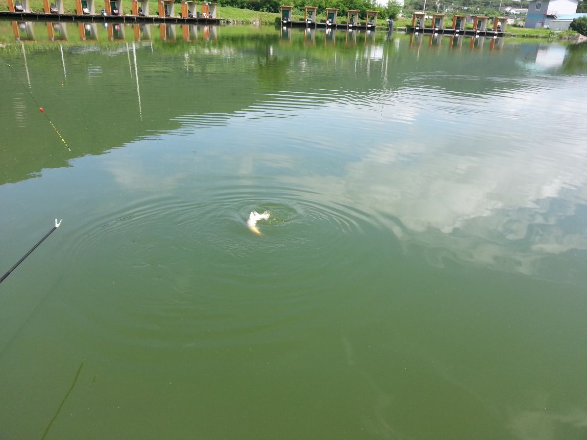 20140725_143915.jpg
