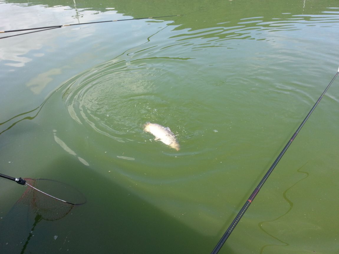 20140725_143926.jpg