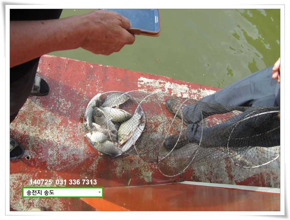 IMG_0002.JPG copy.jpg