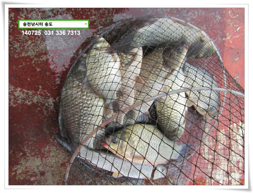 IMG_0005.JPG copy.jpg