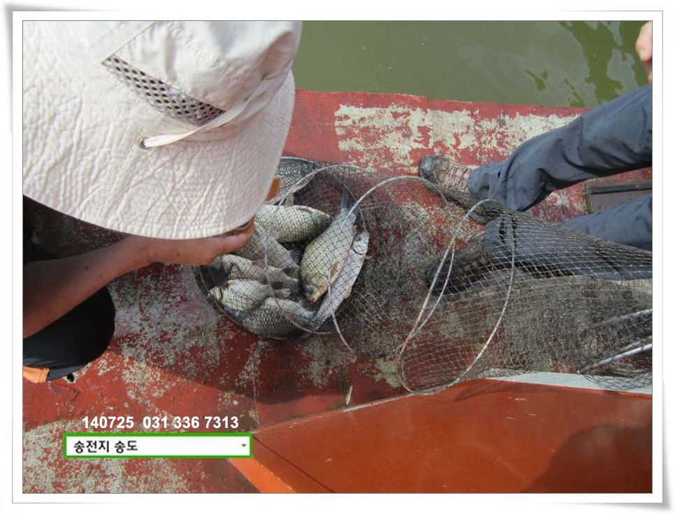 IMG_0006.JPG copy.jpg