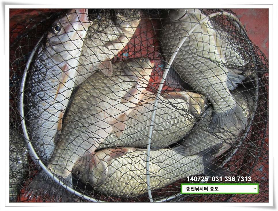 IMG_0010.JPG copy.jpg