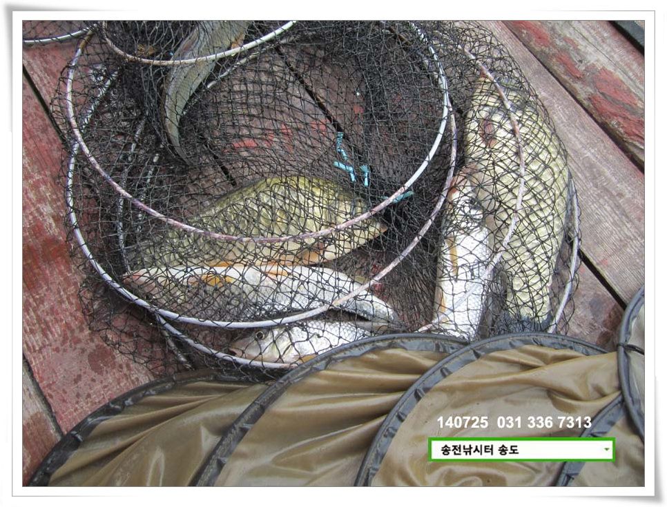 IMG_0021.JPG copy.jpg